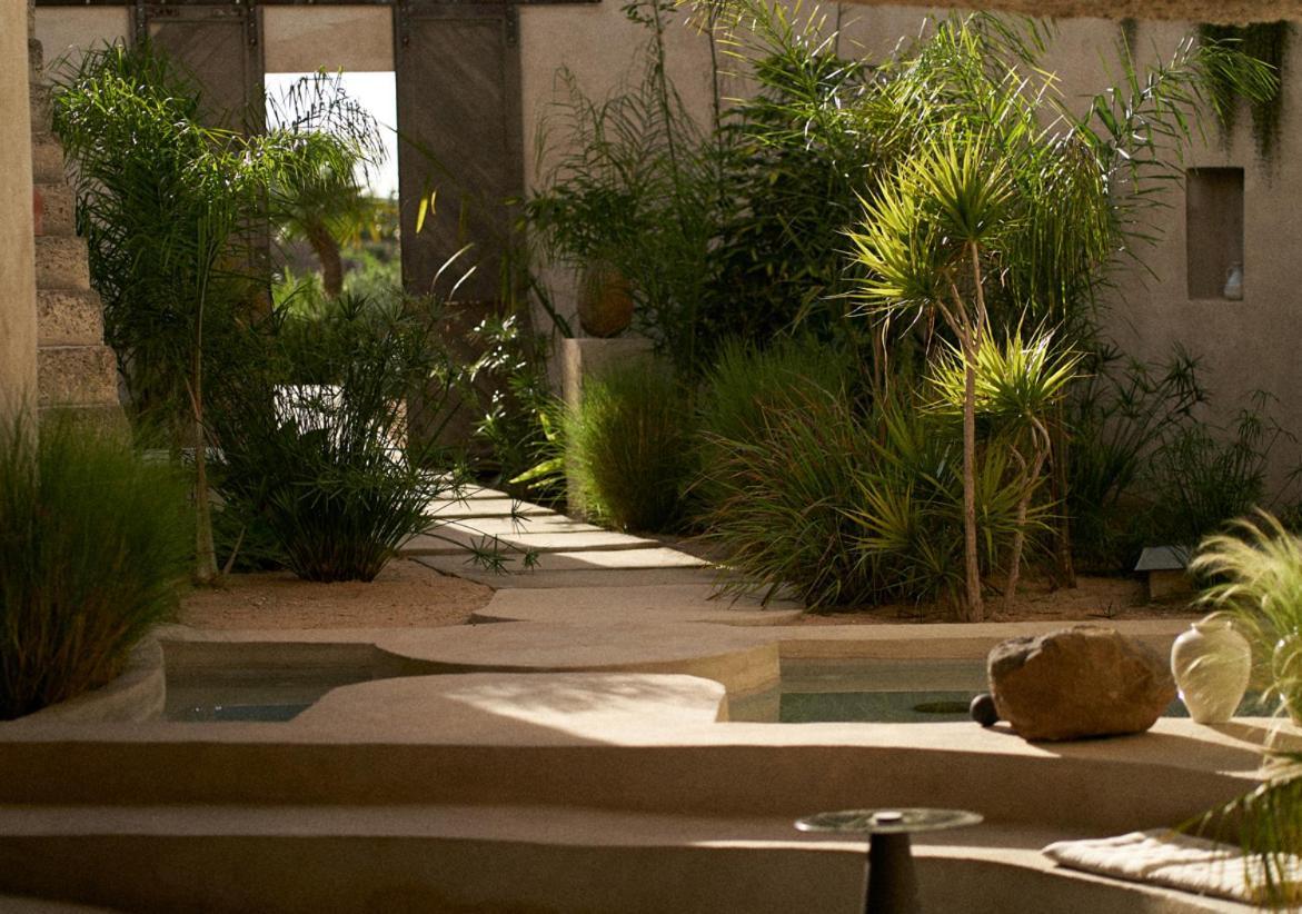 Ecohotel El Agua Arico el Nuevo Zewnętrze zdjęcie