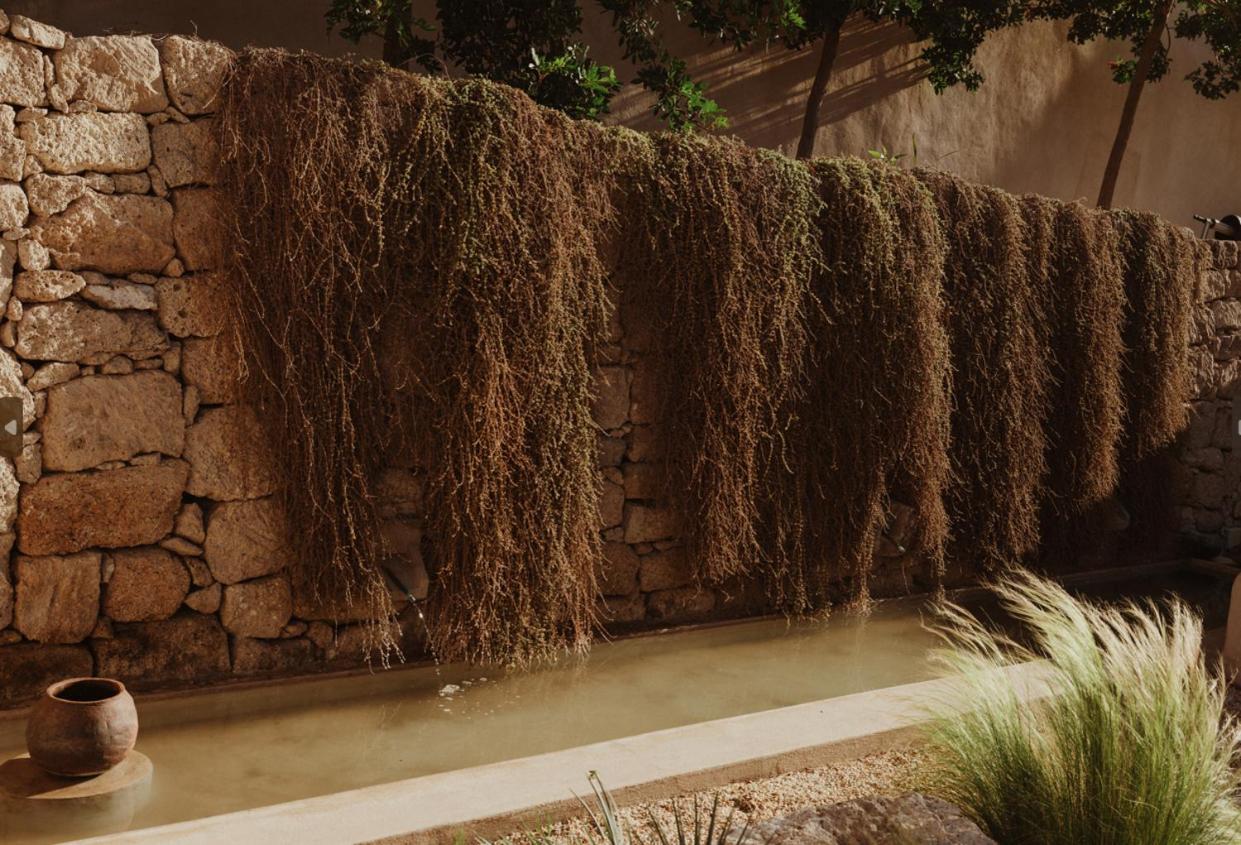 Ecohotel El Agua Arico el Nuevo Zewnętrze zdjęcie