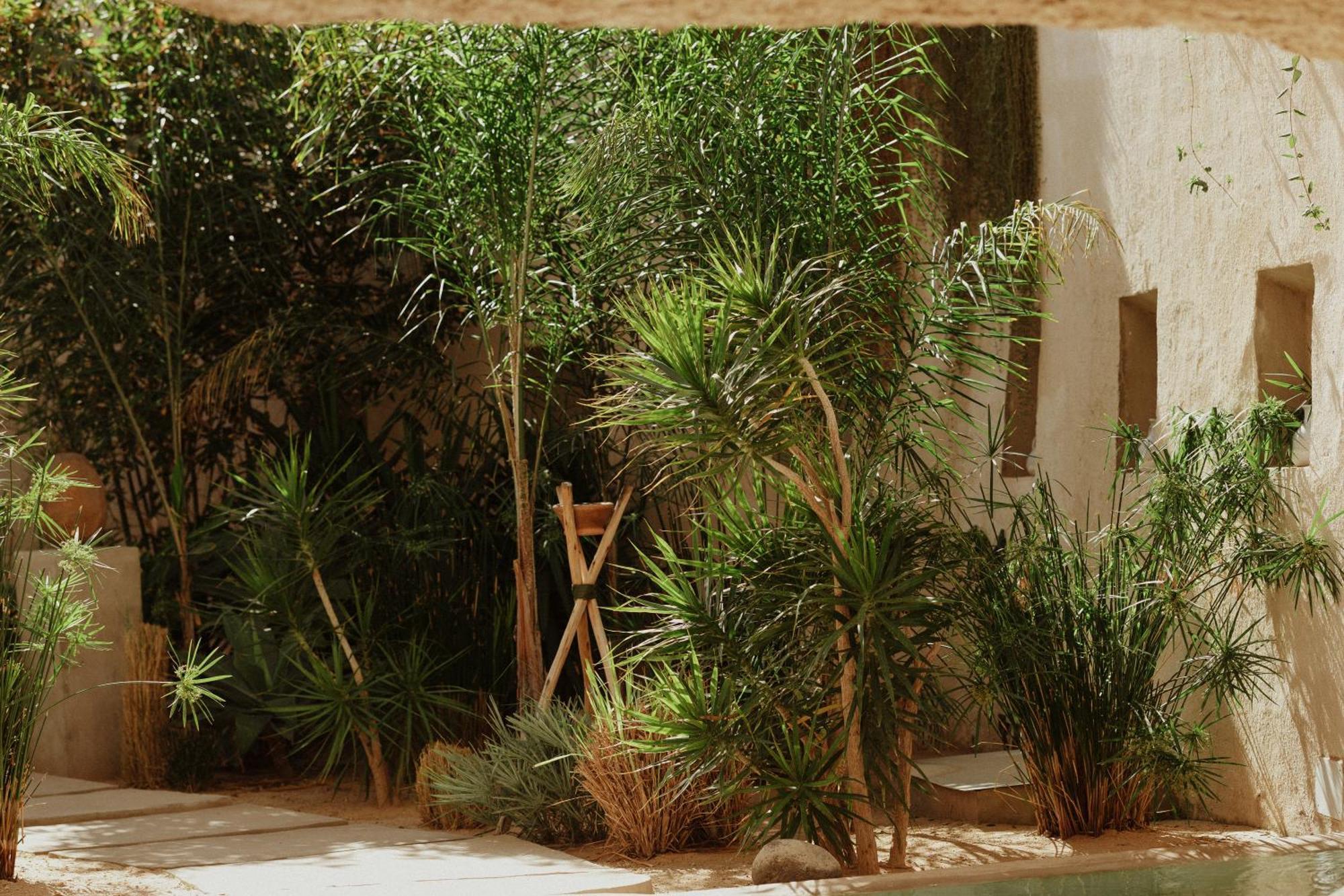 Ecohotel El Agua Arico el Nuevo Zewnętrze zdjęcie
