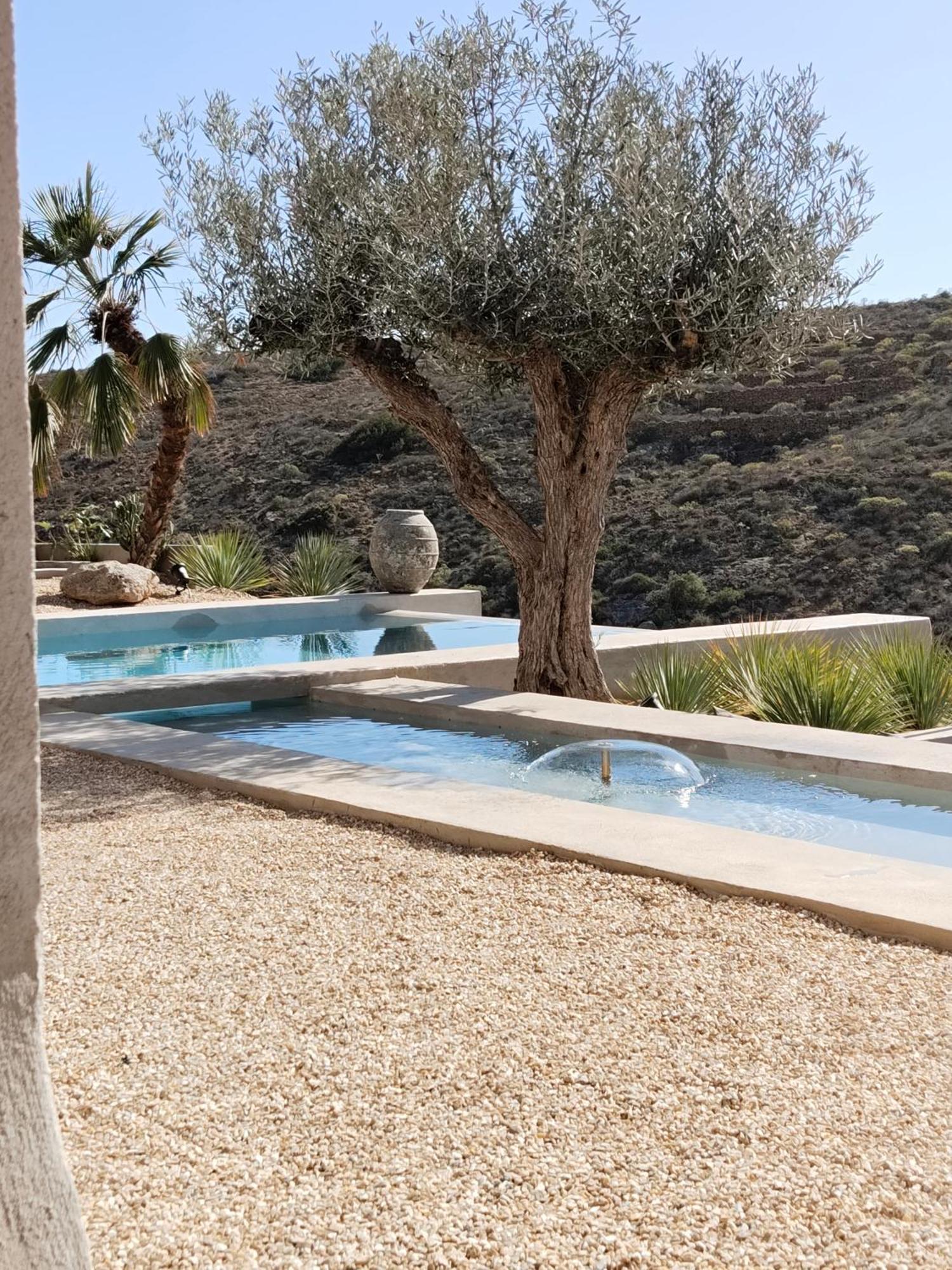 Ecohotel El Agua Arico el Nuevo Zewnętrze zdjęcie